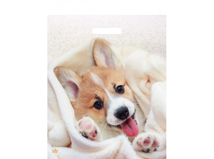 Мешок ламинат (выр.руч) 380*450 (60мкр) Малыш Веня